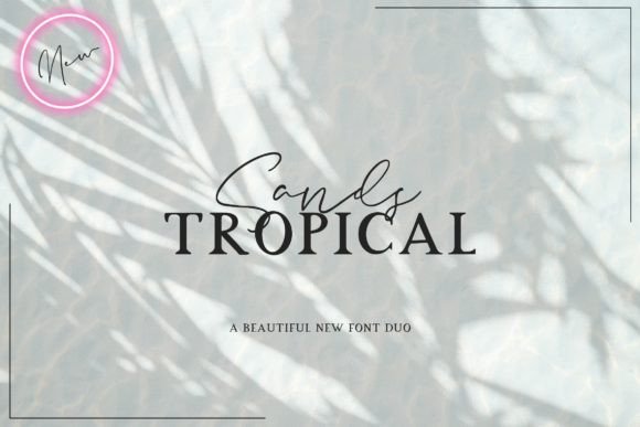 Sands Tropical Duo: A Typeface That Elevates Small Brands