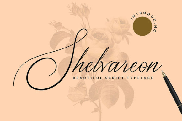 Shelvareon: A Delicate Script Font for Modern Web Design
